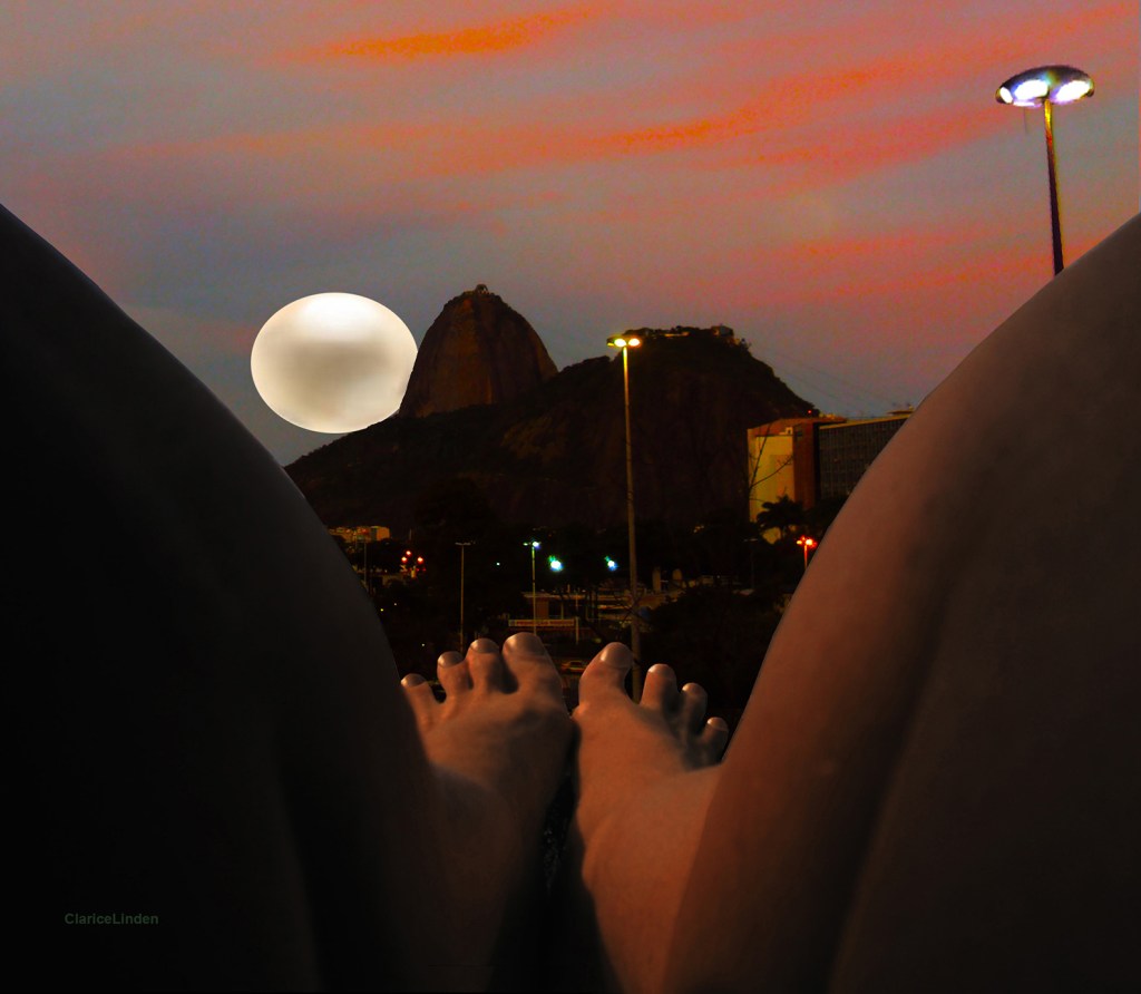 – O Caminho do Bem-te-Vi&nbsp;–